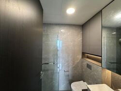 Irwell Hill Residences (D9), Apartment #461456511